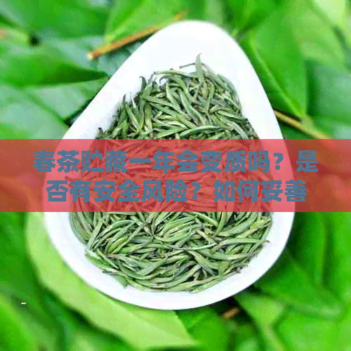 春茶贮藏一年会变质吗？是否有安全风险？如何妥善保存茶叶以长保质期？