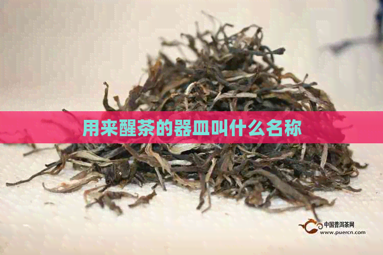 用来醒茶的器皿叫什么名称