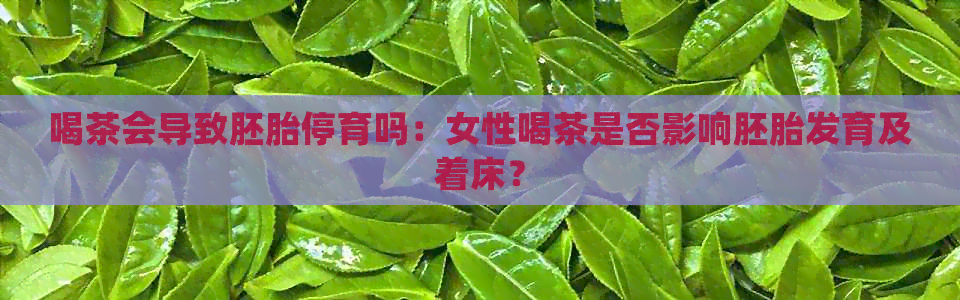 喝茶会导致胚胎停育吗：女性喝茶是否影响胚胎发育及着床？