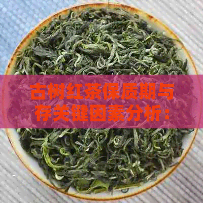 古树红茶保质期与存关键因素分析：多少时间内保持品质？