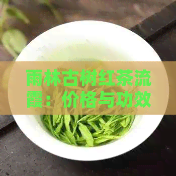 雨林古树红茶流霞：价格与功效，品鉴红茶赋