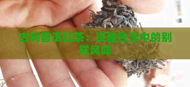 古树普洱红茶：淡雅色泽中的别样风味