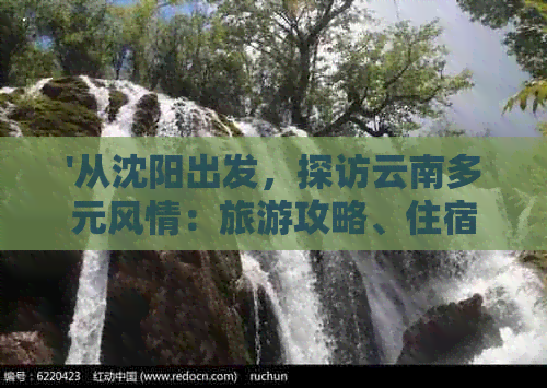 '从沈阳出发，探访云南多元风情：旅游攻略、住宿、交通与美食全方位解析'