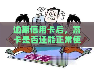 逾期信用卡后，蓄卡是否还能正常使用？银行政策解析