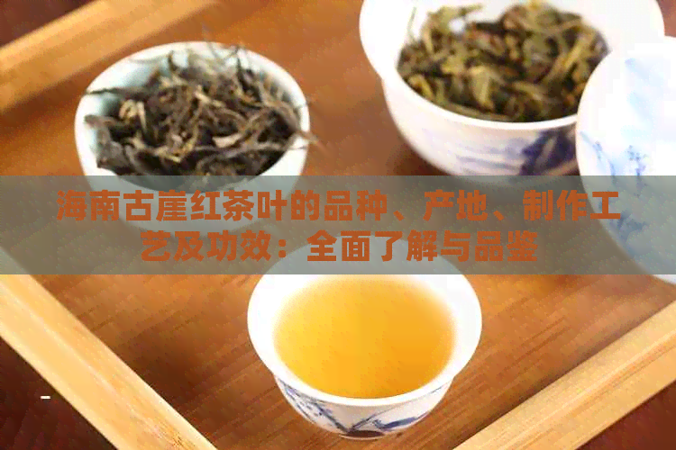 海南古崖红茶叶的品种、产地、制作工艺及功效：全面了解与品鉴