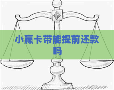 小赢卡带能提前还款吗