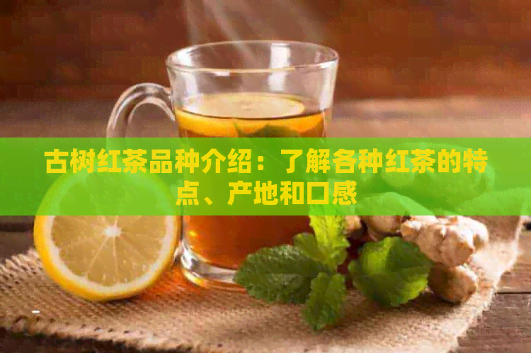 古树红茶品种介绍：了解各种红茶的特点、产地和口感