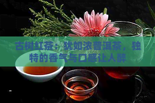 古树红茶：犹如浓普洱茶，独特的香气与口感让人醉