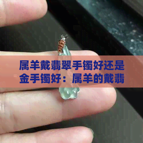 属羊戴翡翠手镯好还是金手镯好：属羊的戴翡翠手镯与金手镯的比较分析