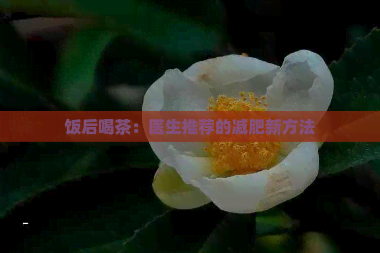 饭后喝茶：医生推荐的减肥新方法