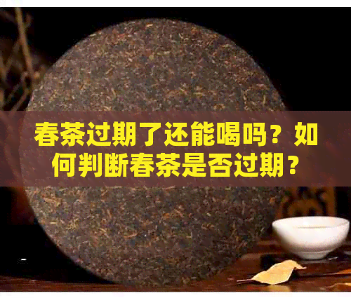 春茶过期了还能喝吗？如何判断春茶是否过期？