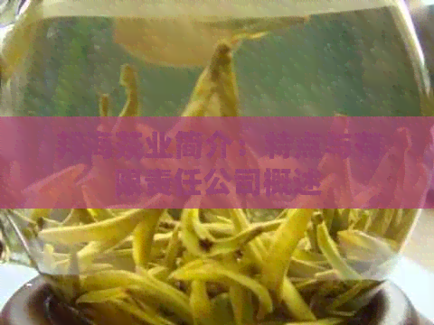 邦海茶业简介：特点与有限责任公司概述