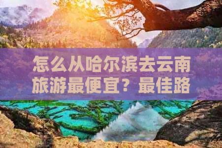 怎么从哈尔滨去云南旅游更便宜？更佳路线和攻略！