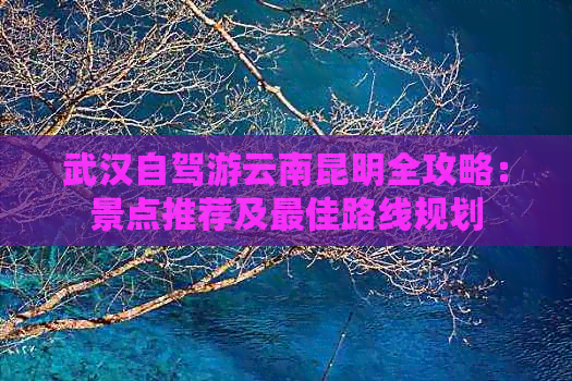 武汉自驾游云南昆明全攻略：景点推荐及更佳路线规划