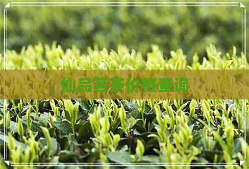 仙品茗茶价格查询