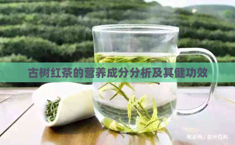 古树红茶的营养成分分析及其健功效