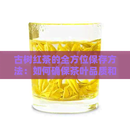 古树红茶的全方位保存方法：如何确保茶叶品质和口感？