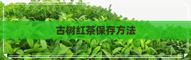 古树红茶保存方法