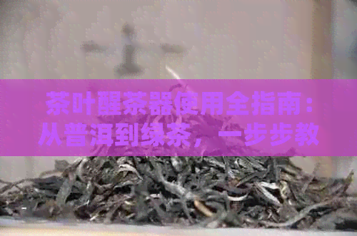 茶叶醒茶器使用全指南：从普洱到绿茶，一步步教你掌握正确方法