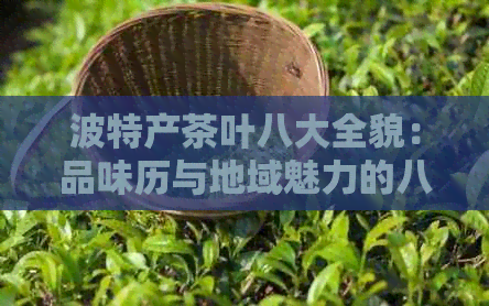 波特产茶叶八大全貌：品味历与地域魅力的八个名茶产地