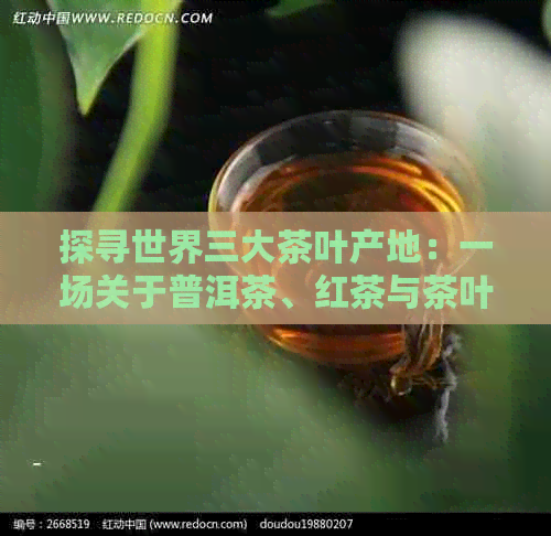 探寻世界三大茶叶产地：一场关于普洱茶、红茶与茶叶文化的宴