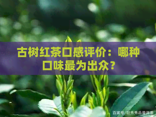 古树红茶口感评价：哪种口味最为出众？