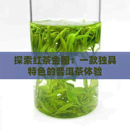 探索红茶金圈：一款独具特色的普洱茶体验