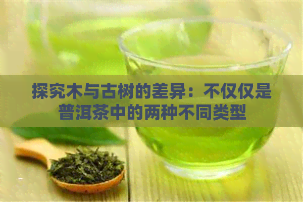 探究木与古树的差异：不仅仅是普洱茶中的两种不同类型