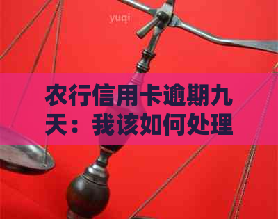 农行信用卡逾期九天：我该如何处理？逾期后果是什么？还款方式和时间一览