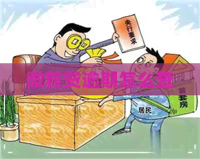 微粒贷逾期怎么查