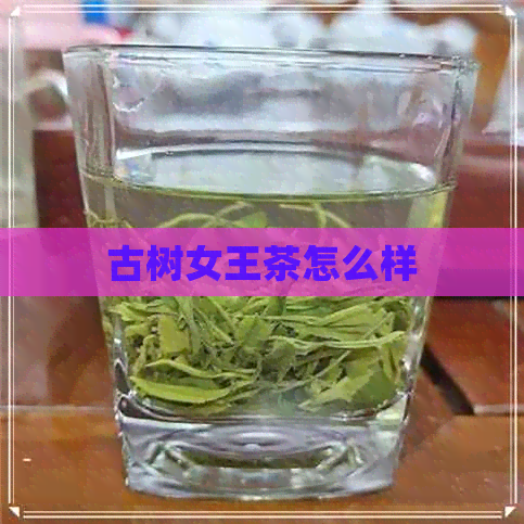 古树女王茶怎么样