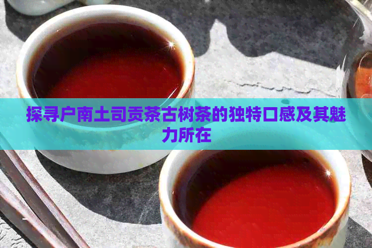 探寻户南土司贡茶古树茶的独特口感及其魅力所在