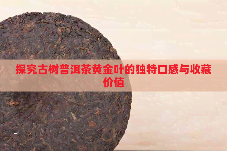 探究古树普洱茶黄金叶的独特口感与收藏价值