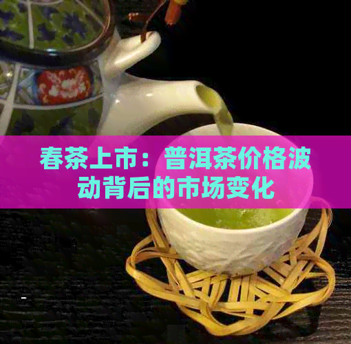 春茶上市：普洱茶价格波动背后的市场变化