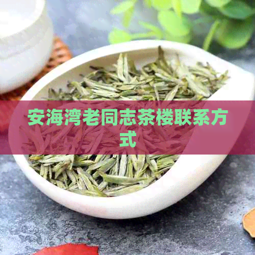 安海湾老同志茶楼联系方式