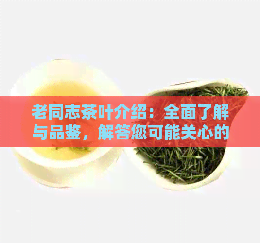 老同志茶叶介绍：全面了解与品鉴，解答您可能关心的问题