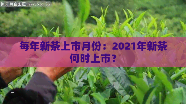 每年新茶上市月份：2021年新茶何时上市？