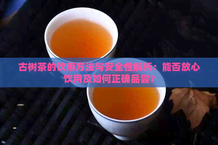 古树茶的饮用方法与安全性解析：能否放心饮用及如何正确品尝？