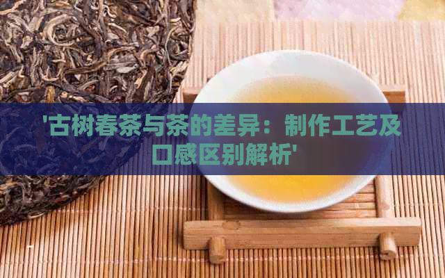 '古树春茶与茶的差异：制作工艺及口感区别解析'