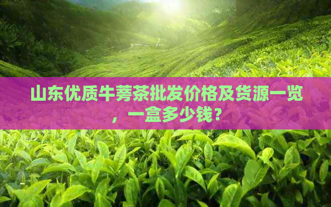 山东优质牛蒡茶批发价格及货源一览，一盒多少钱？