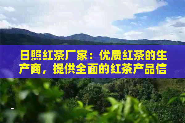 日照红茶厂家：优质红茶的生产商，提供全面的红茶产品信息与购买建议