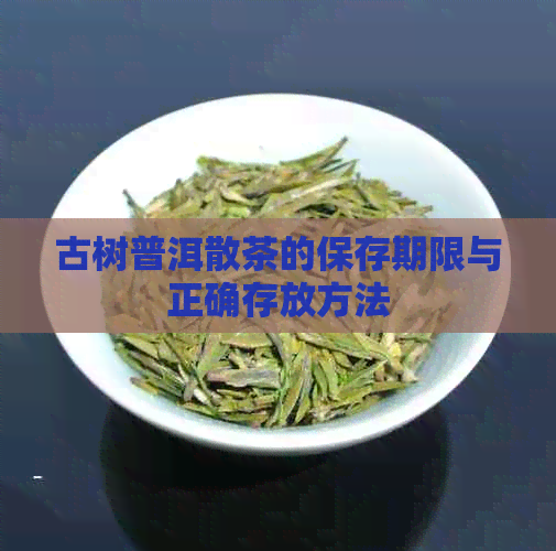 古树普洱散茶的保存期限与正确存放方法