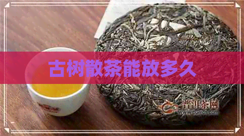 古树散茶能放多久