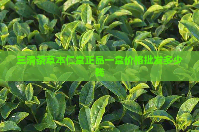 三清茶草本仁堂正品一盒价格批发多少钱