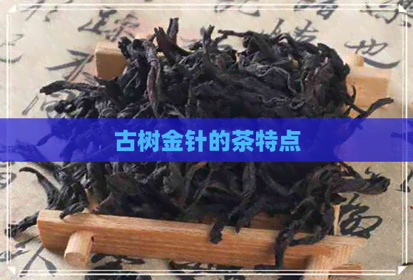 古树金针的茶特点