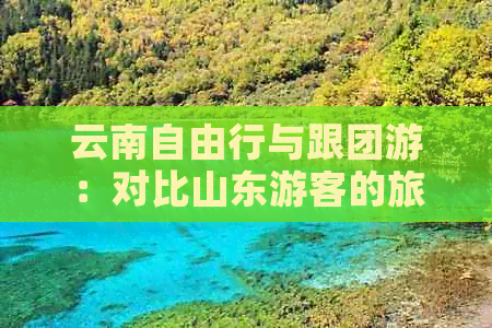 云南自由行与跟团游：对比山东游客的旅游选择分析