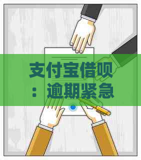 支付宝借呗：逾期紧急联系人资料修改全流程指南