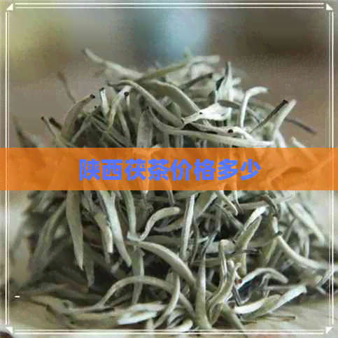 陕西茯茶价格多少