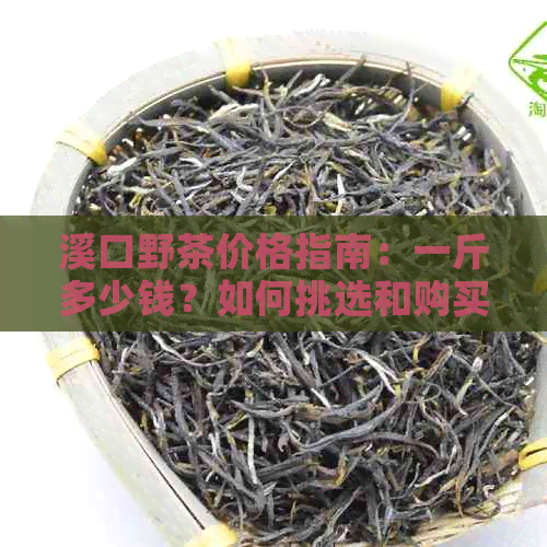 溪口野茶价格指南：一斤多少钱？如何挑选和购买优质的野茶？