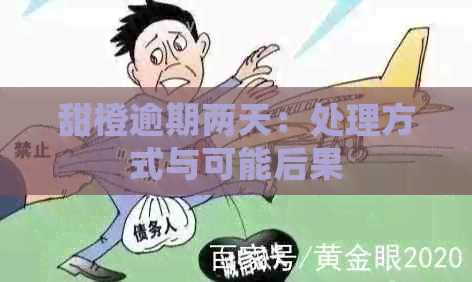 甜橙逾期两天：处理方式与可能后果